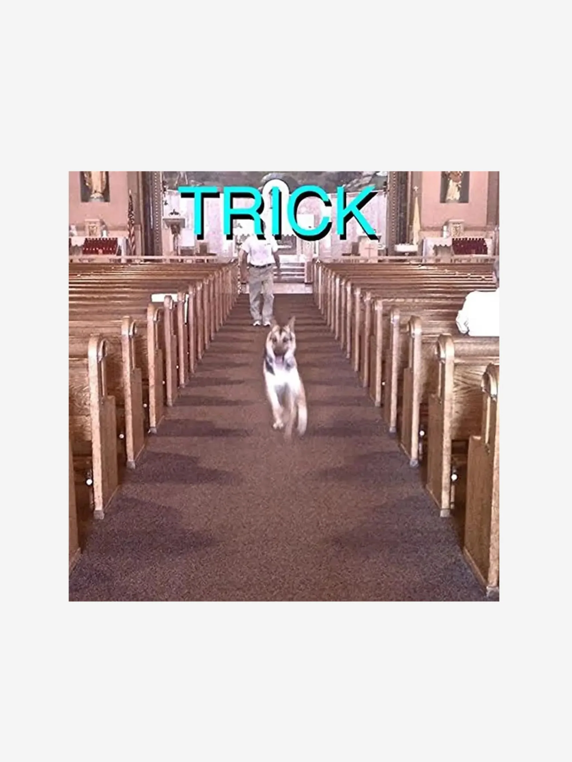 Alex G, Trick, 2LP - Black