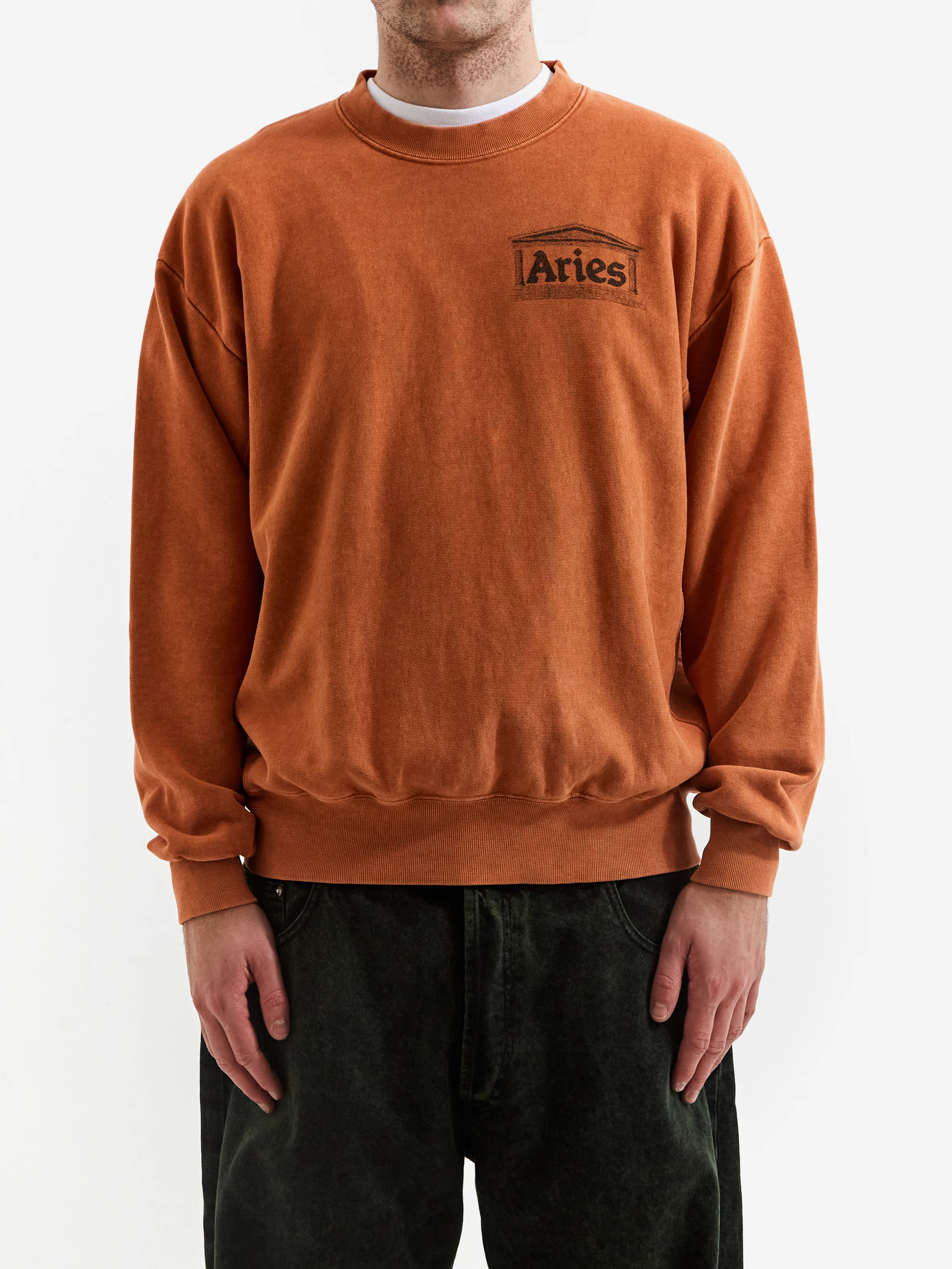 Aries Premium Aged Temple Sweatshirt - Caramel - Image 2