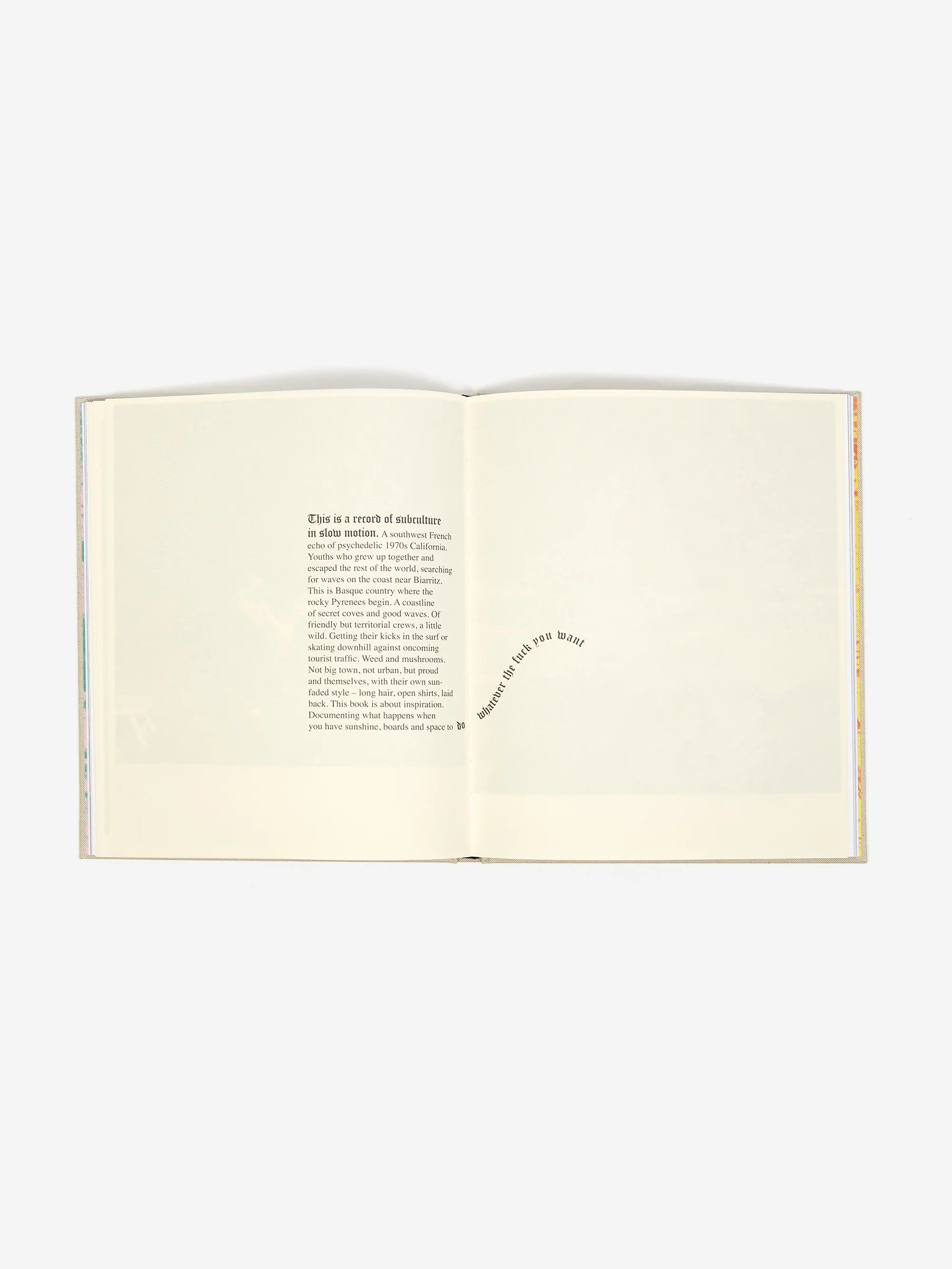 Aries x David Ledoux Book Gnarly - Image 4