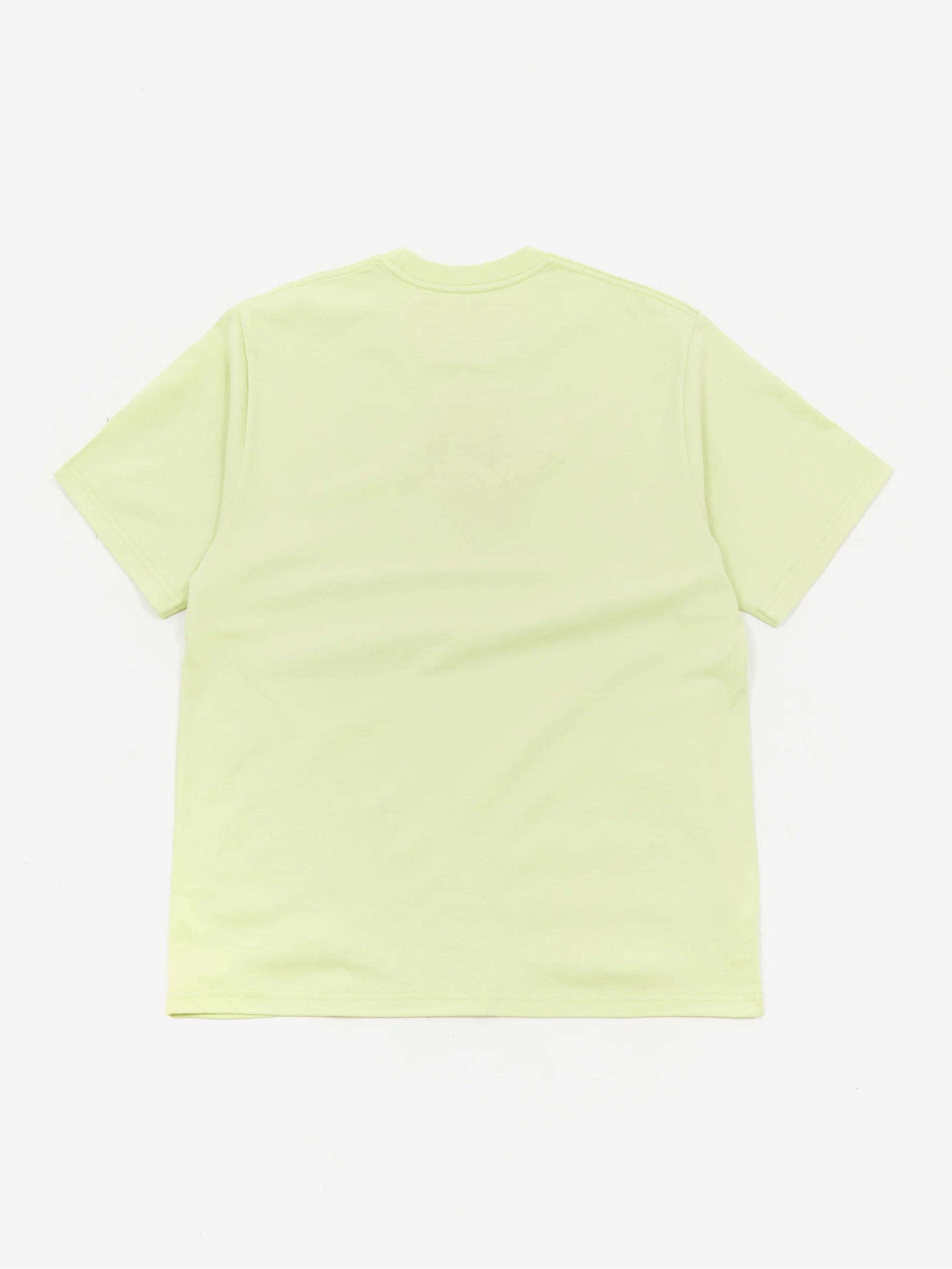 Gentle Fullness Dragonfly Short Sleeve T Shirt - Pistachio Dragonfly - Image 4