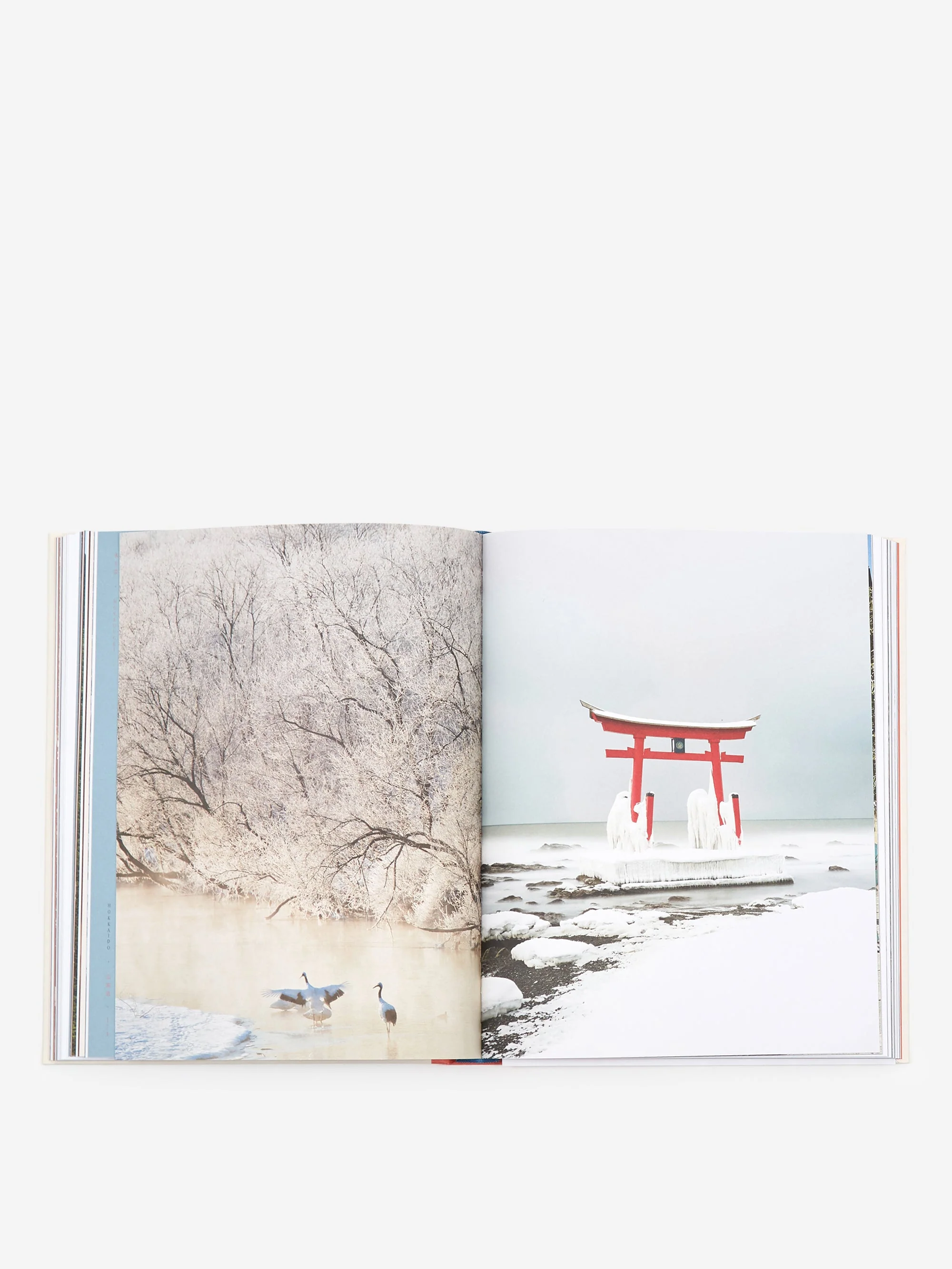 Handmade in Japan - Image 5
