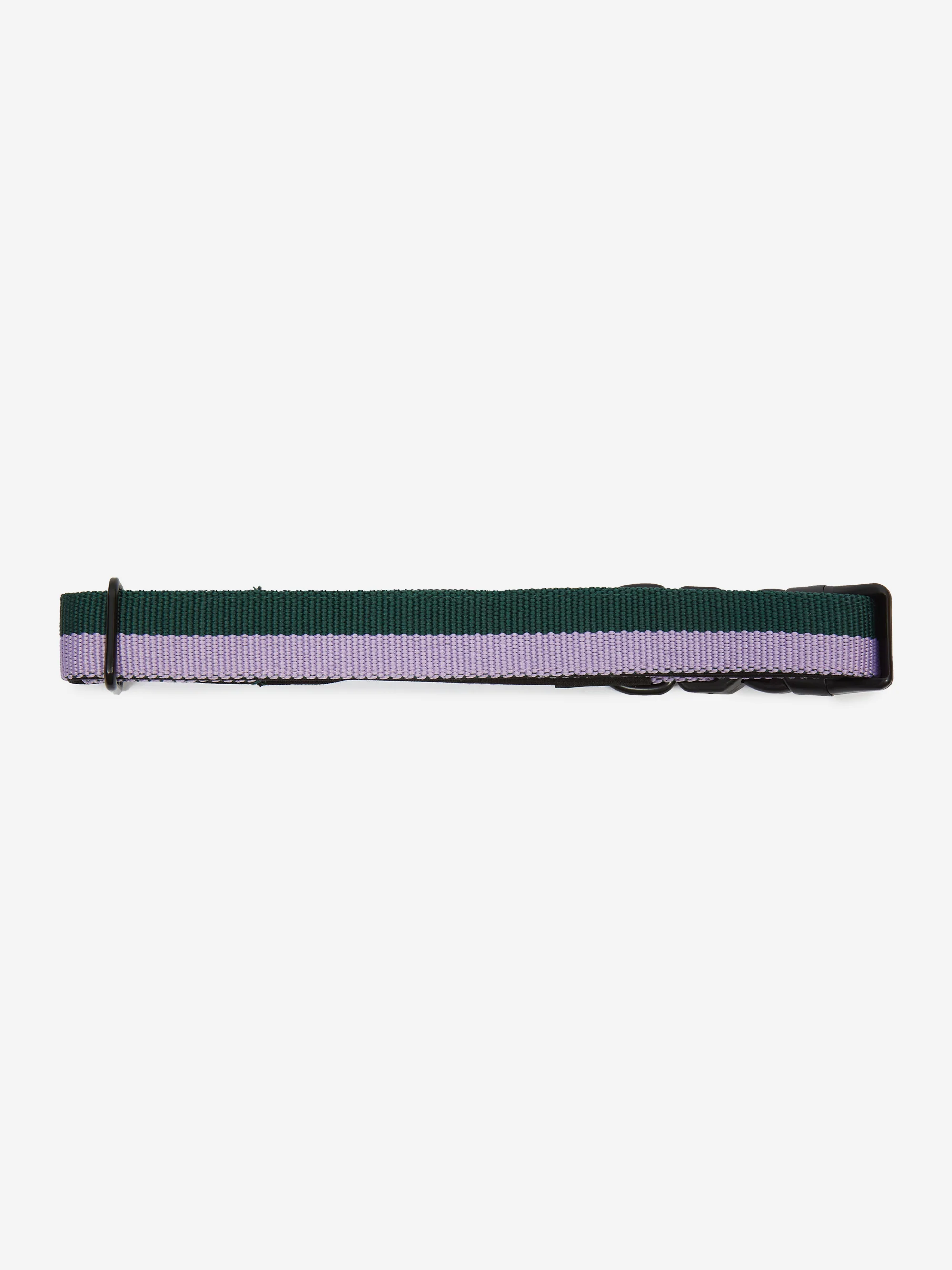 HAY Dogs Collar - Flat Medium/Large - Lavender/Green - Image 4