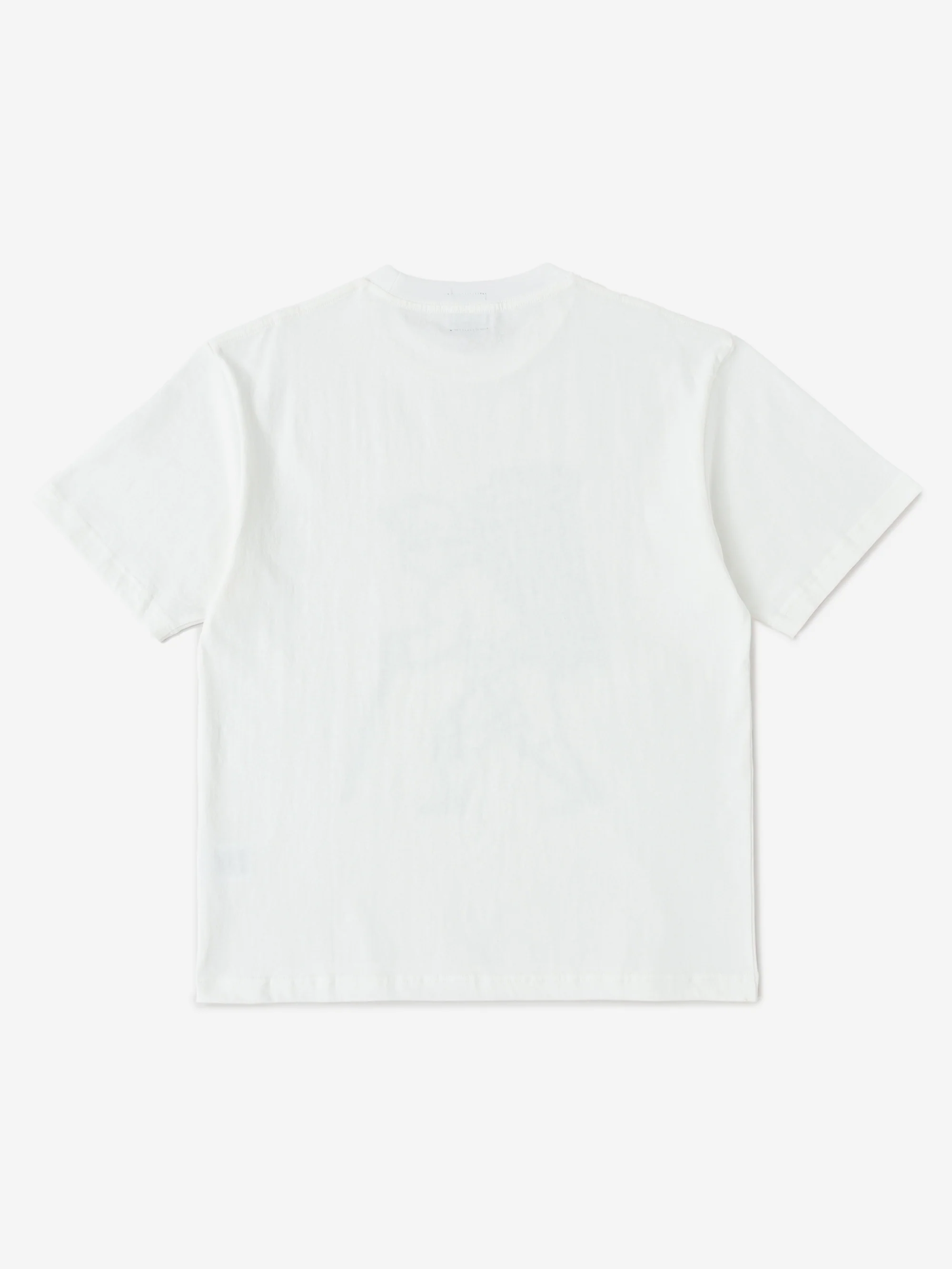 Heresy Pestilence T-Shirt W - Ecru - Image 2
