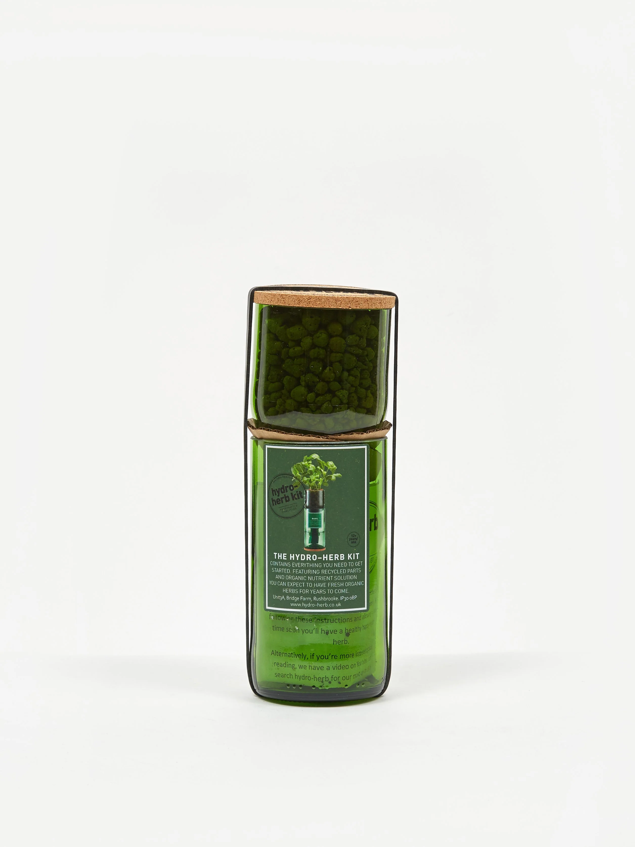 Hydro-Herb Grow Your Own Flat Parsley - Multi - Image 5
