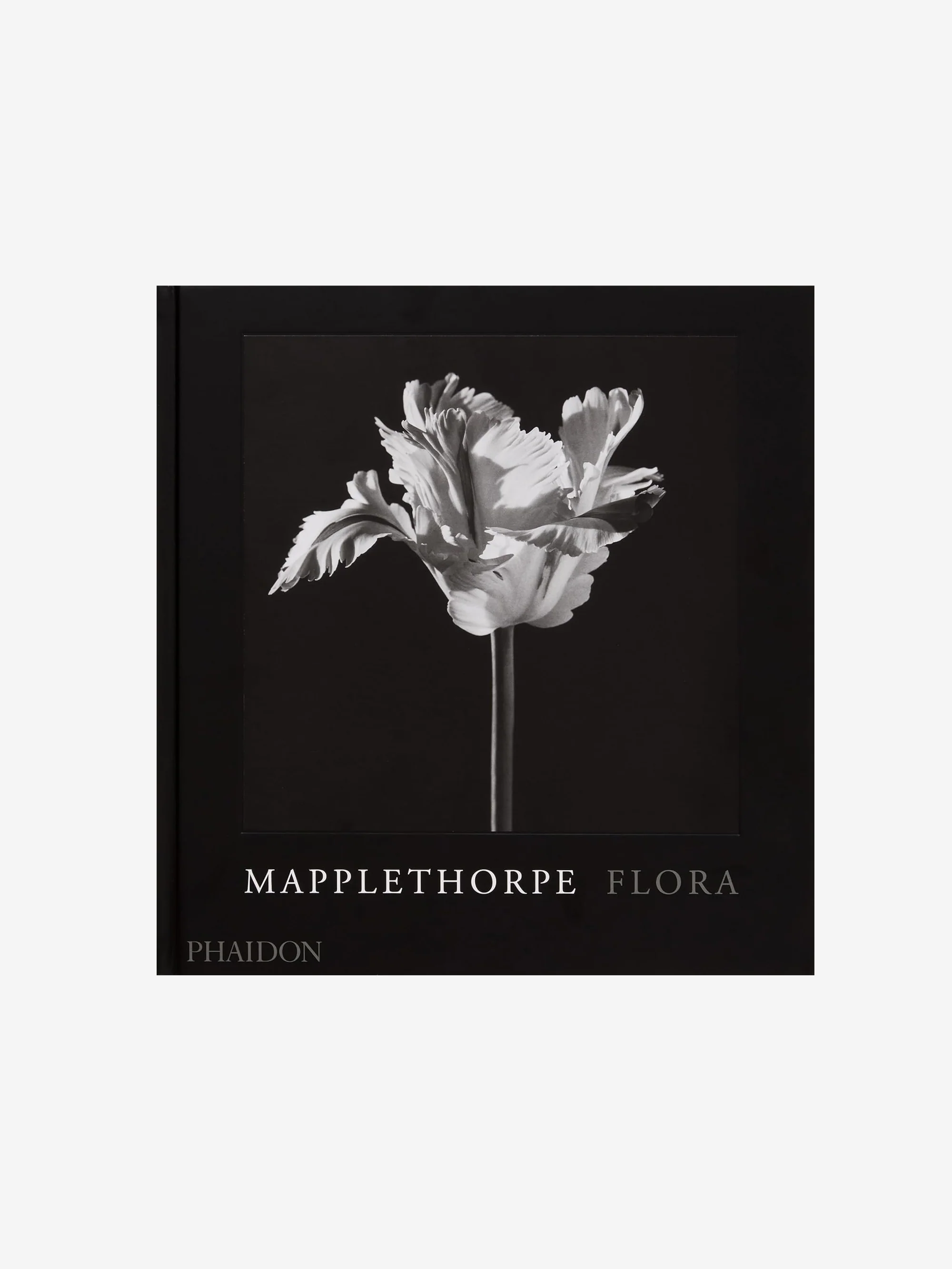 Mapplethorpe Flora: The Complete Flowers