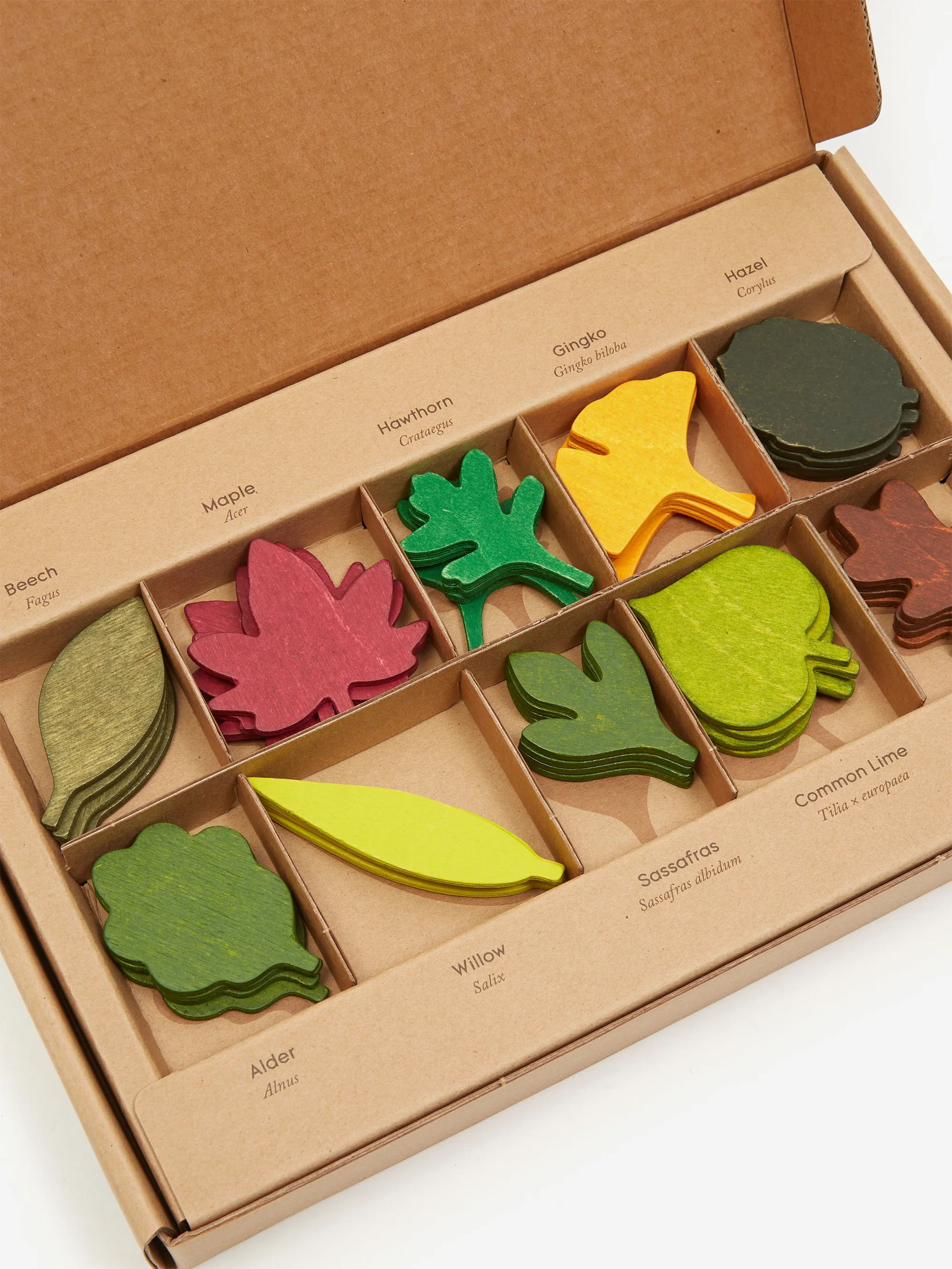 Moon Picnic Wooden Woodland Leaves Set - Image 3