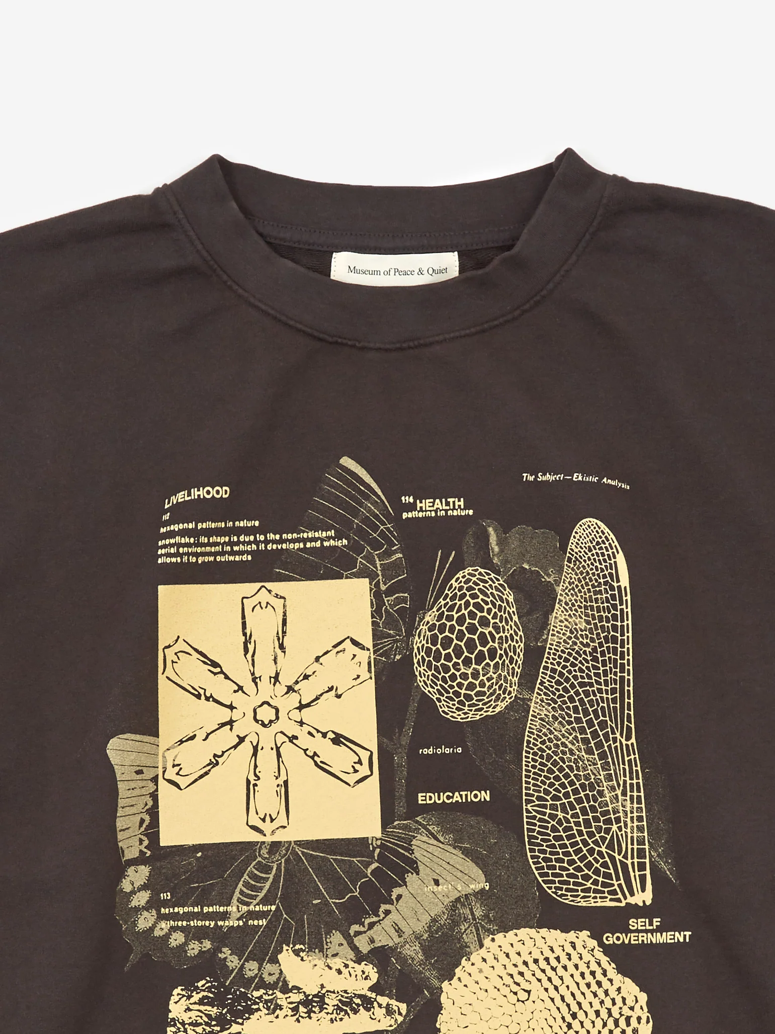 Museum Of Peace & Quiet Fibonacci Crewneck - Black - Image 2