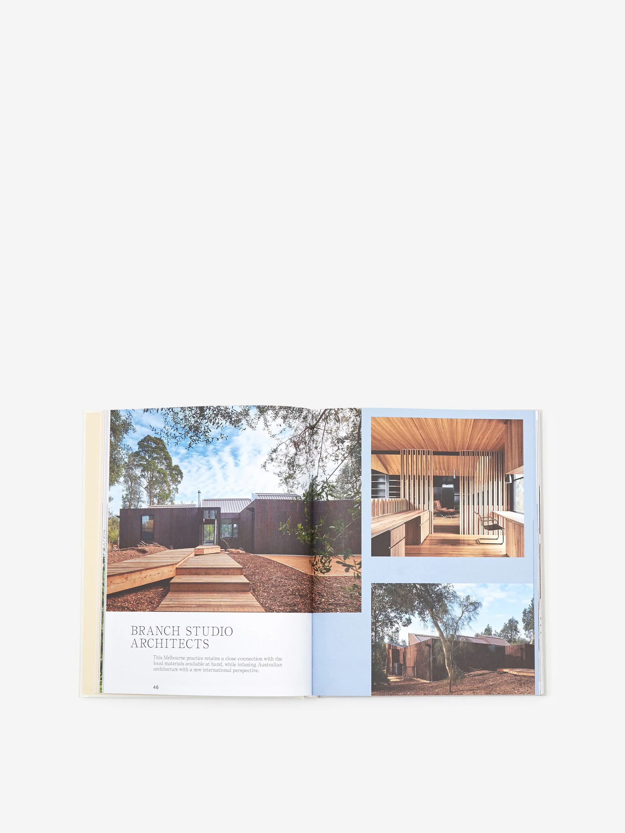Out of the Woods - Image 3