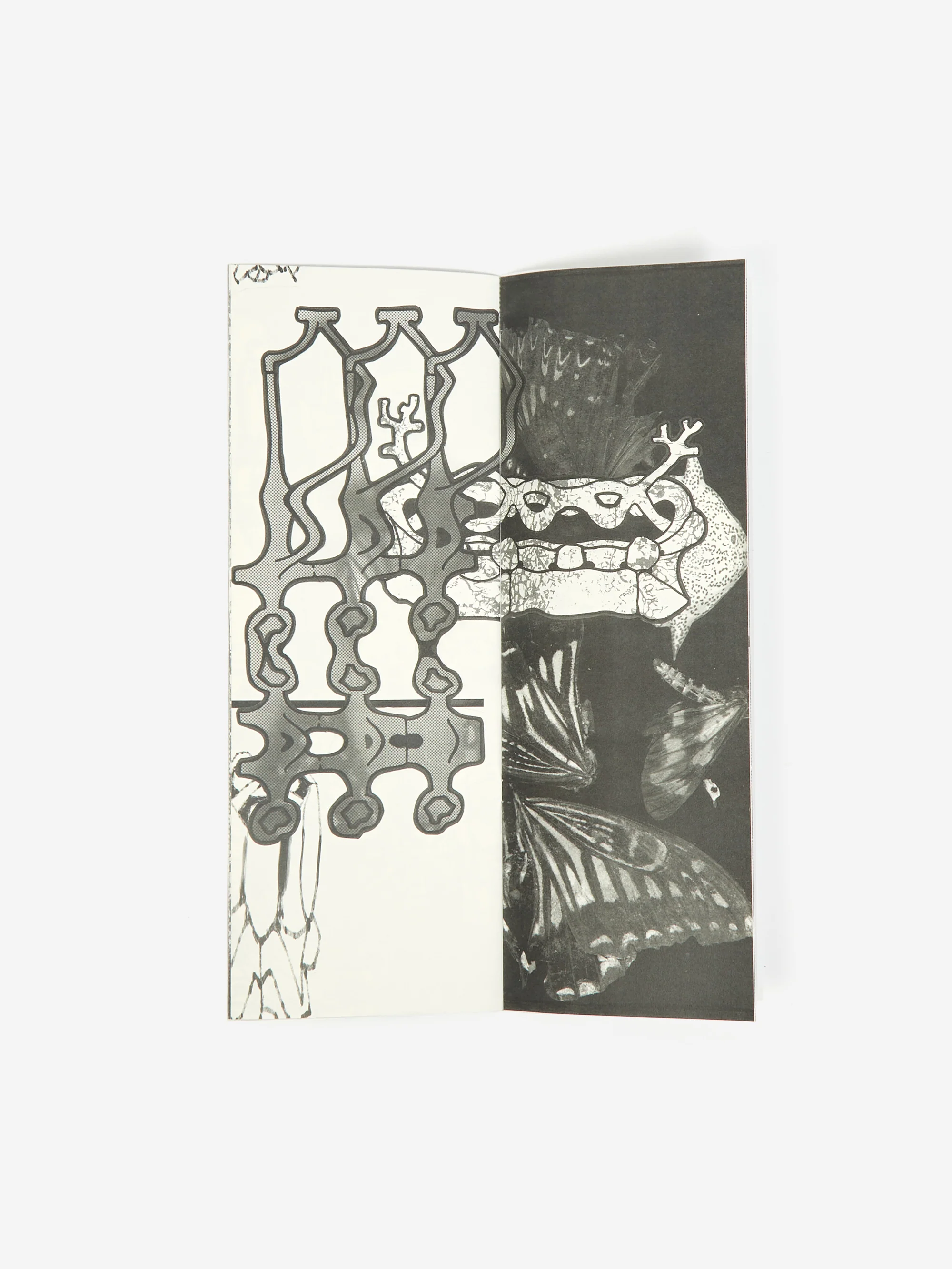 Russell Maurice - Fraxtal - Image 3