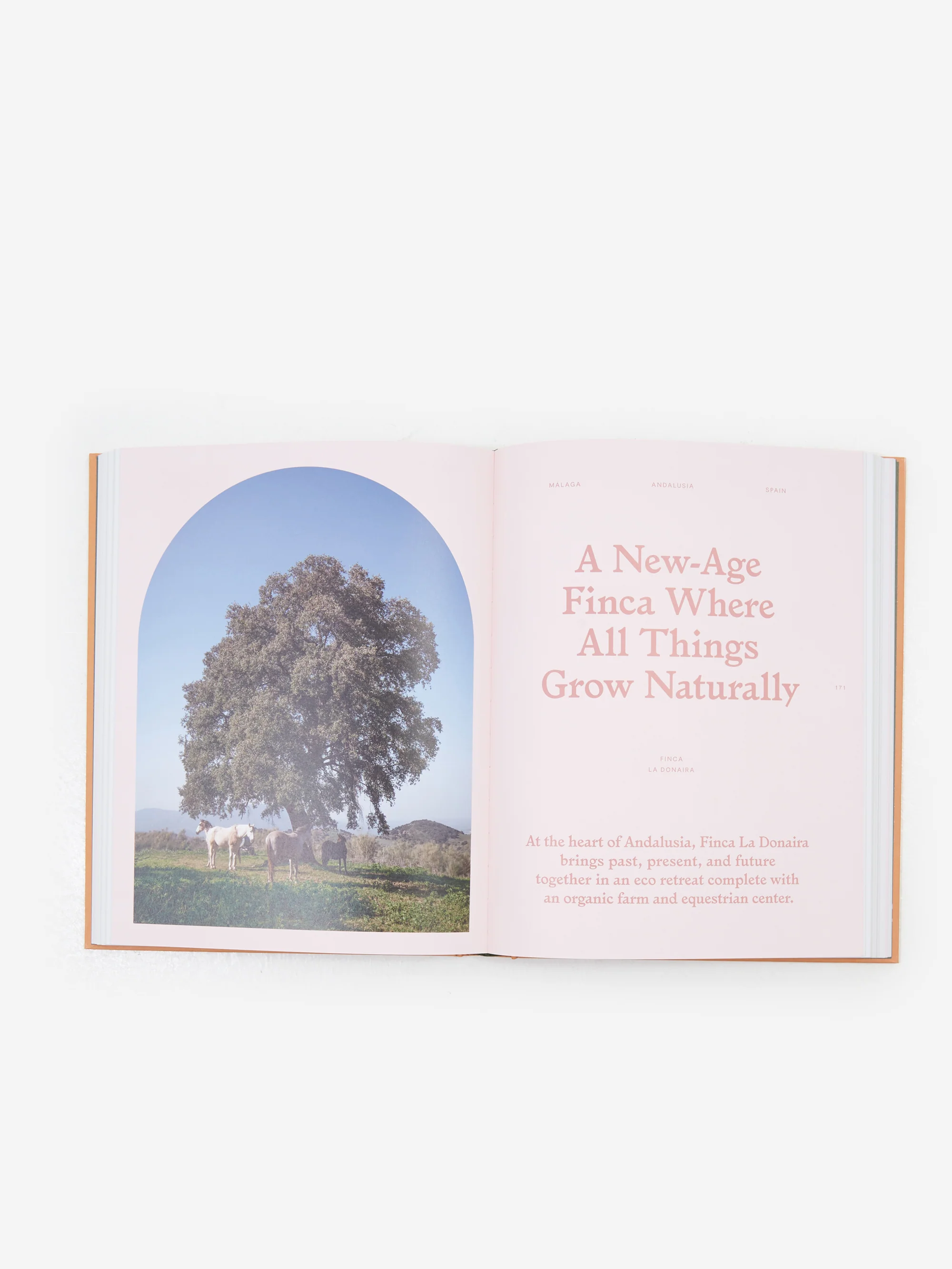 Slow Escapes: Rural Retreats for Conscious Travellers - Image 2