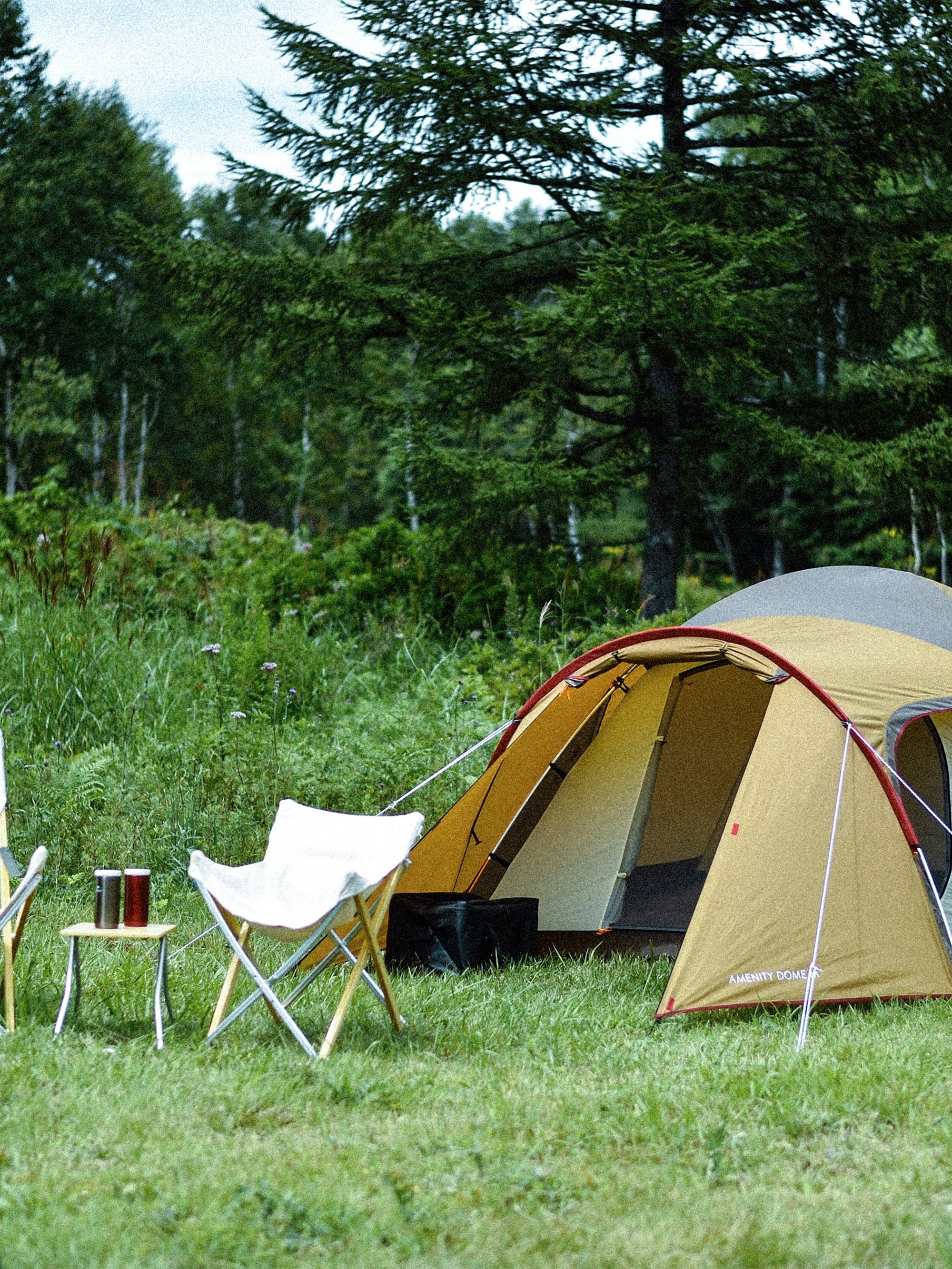 Snow Peak Amenity Dome Medium 4 Person Tent - Brown - Image 4