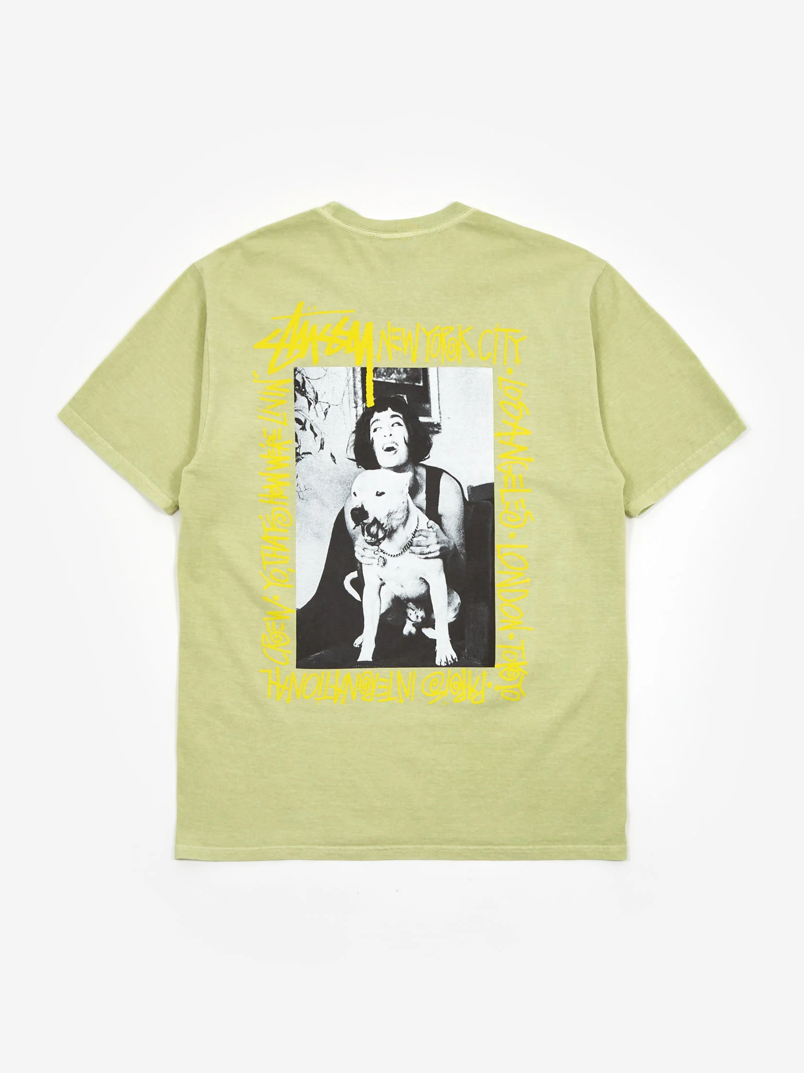 Stussy How We're Livin' Pig. Dyed T-Shirt - Sage
