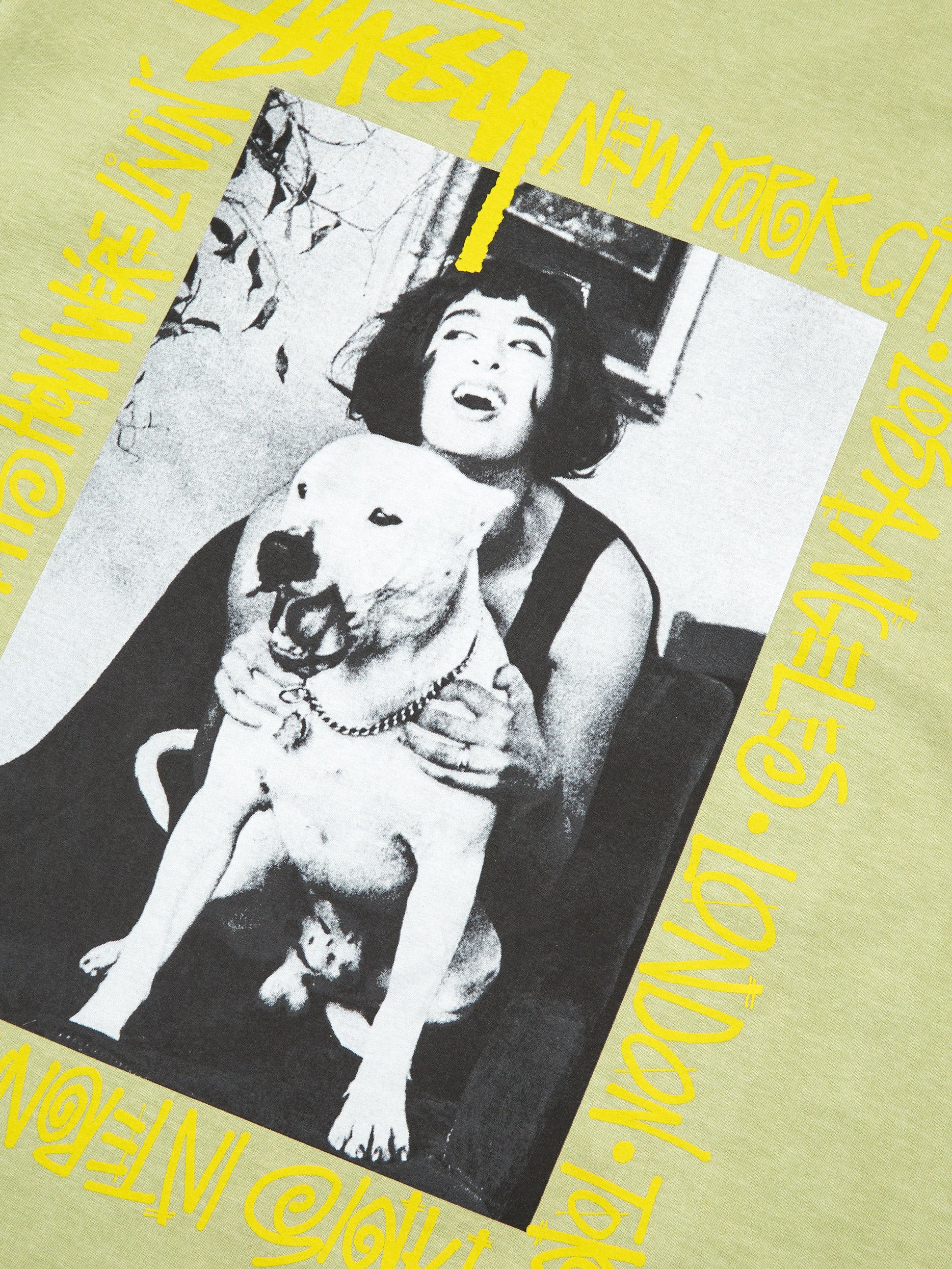 Stussy How We're Livin' Pig. Dyed T-Shirt - Sage - Image 2