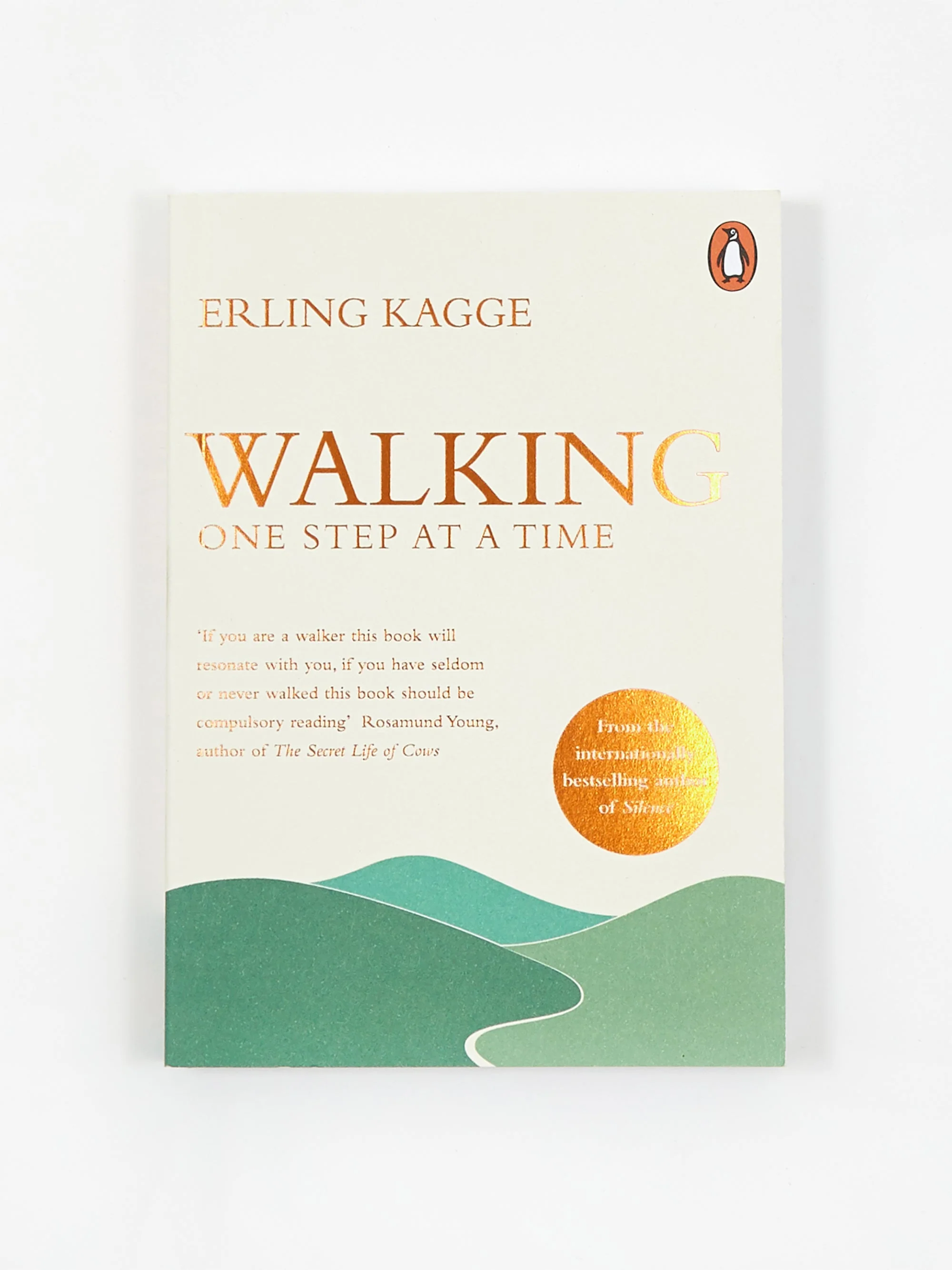 Walking: One Step At A Time, By Erling Kagge - Image 2